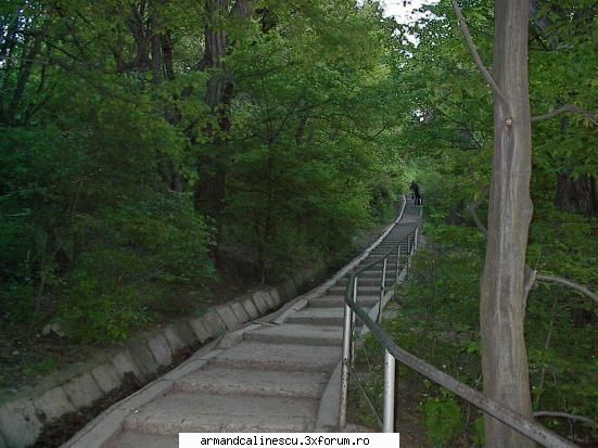 Vechiul Pitesti(poze) - sugativa - Offtopic