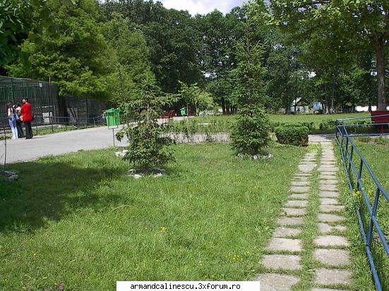 Vechiul Pitesti(poze) - gradina zoologica - Offtopic